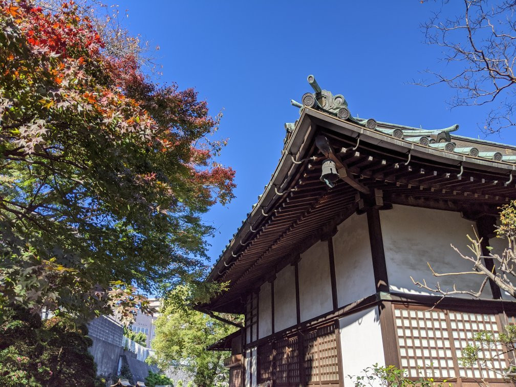 Jorakuji Temple-稻城市必去景点