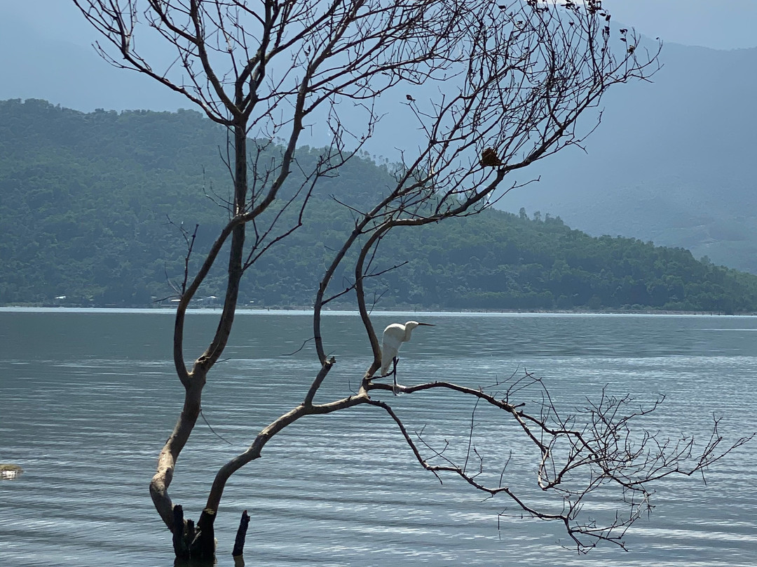 Lap An Lagoon-Lang Co必去景点