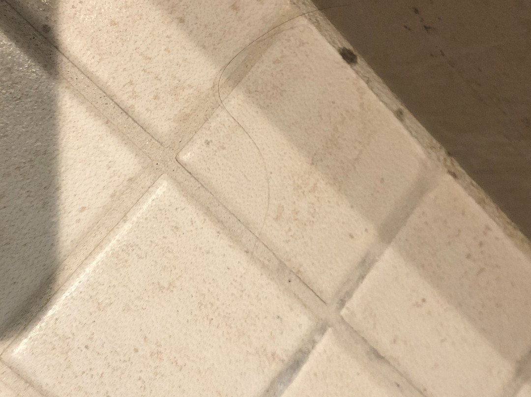 Cambria Hotel College Park主图