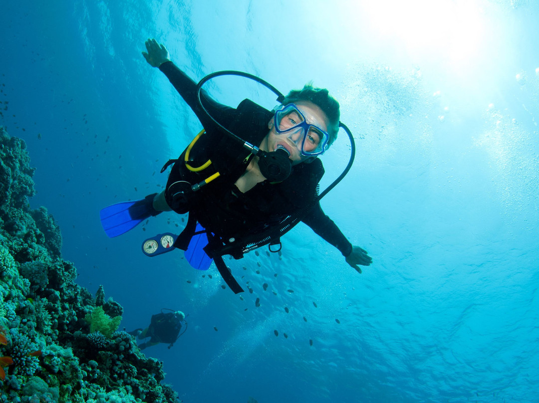 Red Sea Tribe-达哈卜必去景点