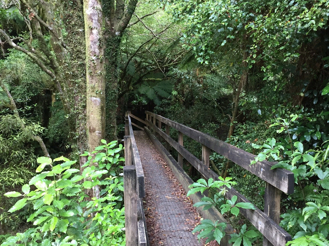 Mangaone Walkway景点图片
