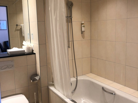 巴塞尔施维瑟酒店主图