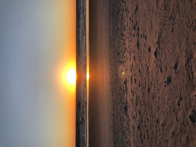 Beachside Motel主图