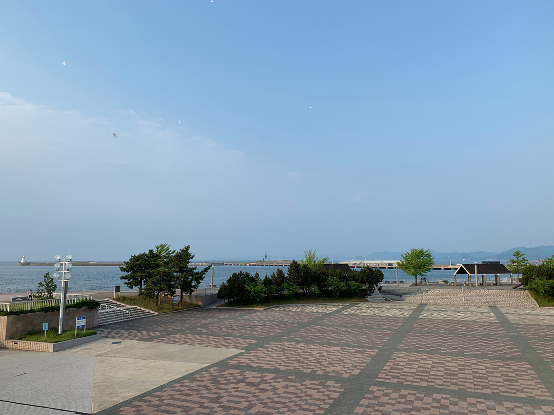 Aoiumi Park景点图片