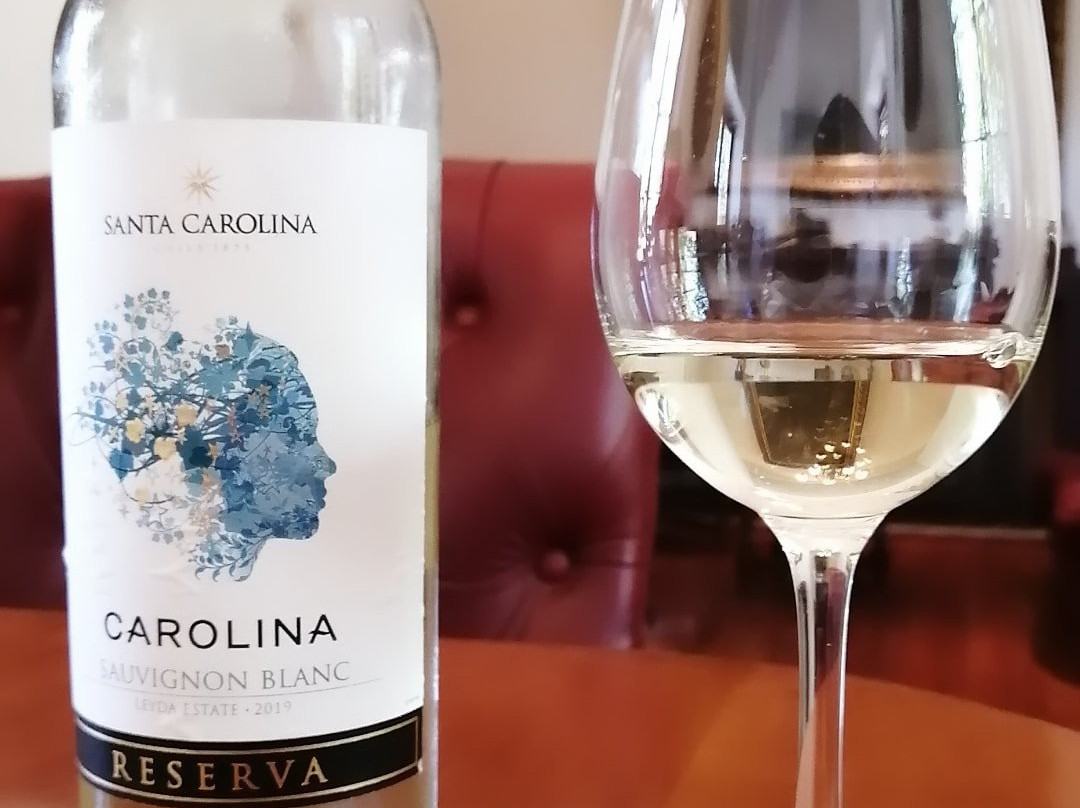 Vina Santa Carolina-圣地亚哥必去景点