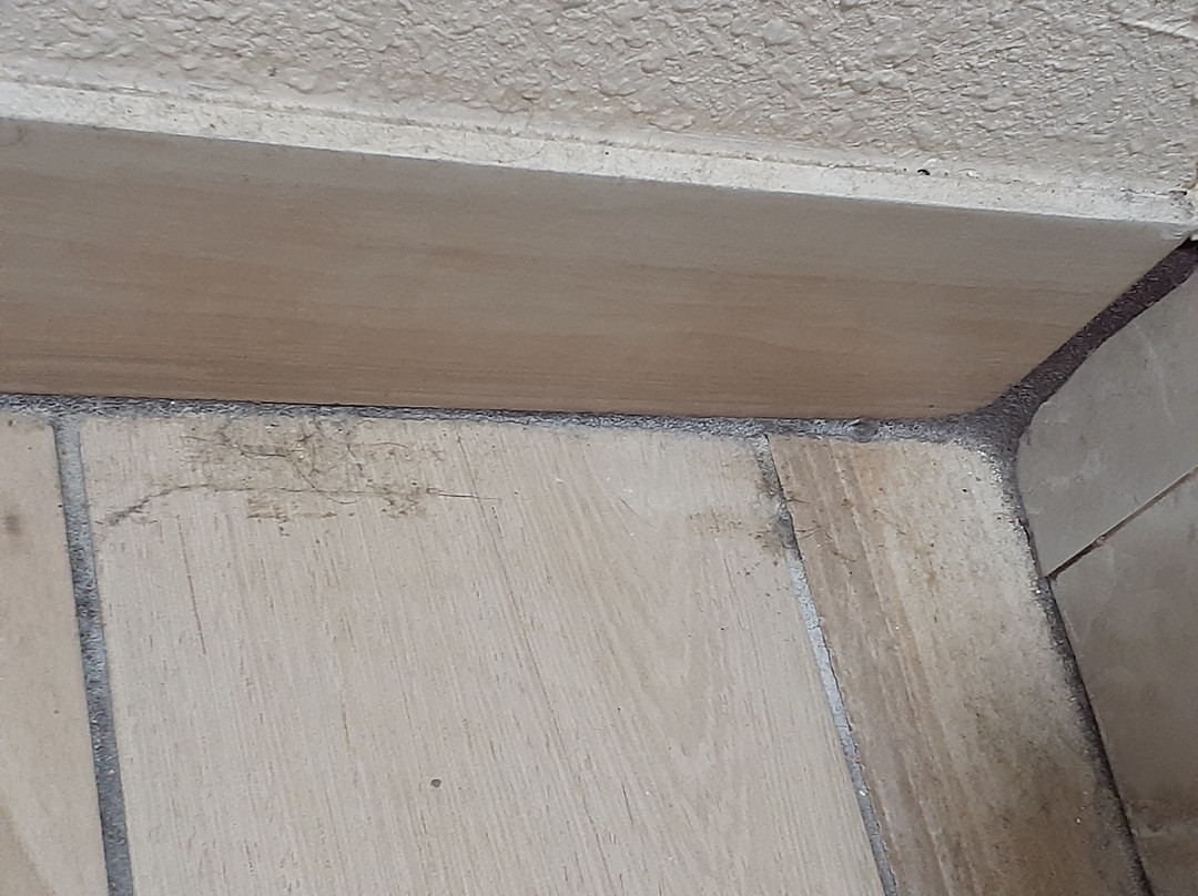 Red Roof Inn Slidell主图