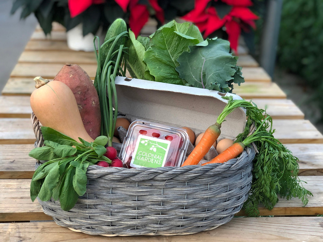 Colonial Gardens-Blue Springs必去景点