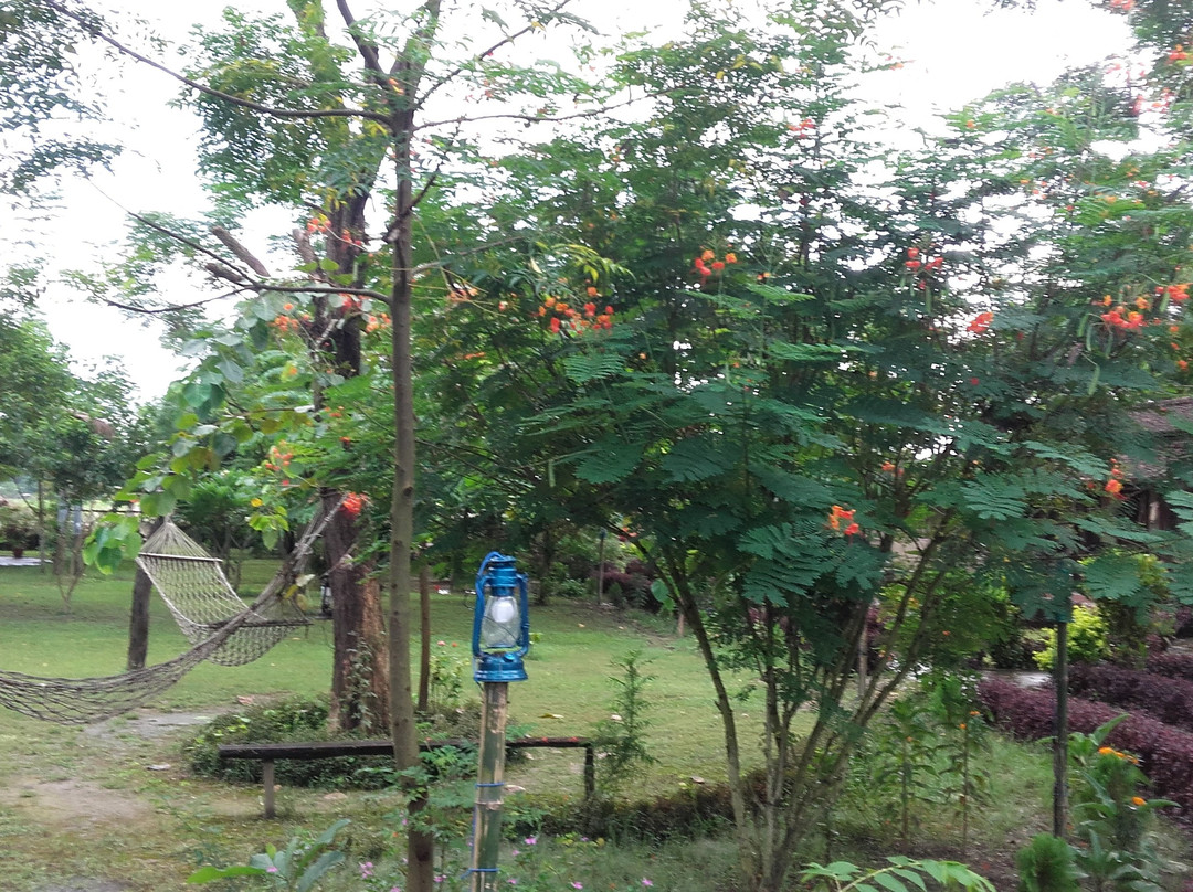 Tharu Community Home Stay主图