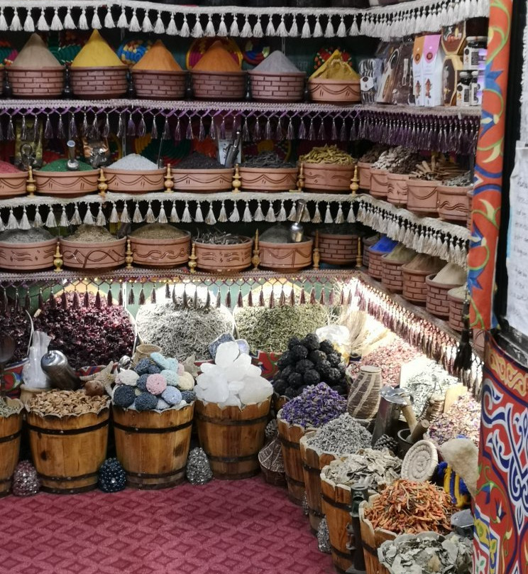 Port Ghalib Divers-马萨阿拉姆必去景点