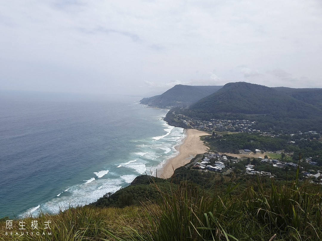 Bald Hill Lookout-悉尼必去景点