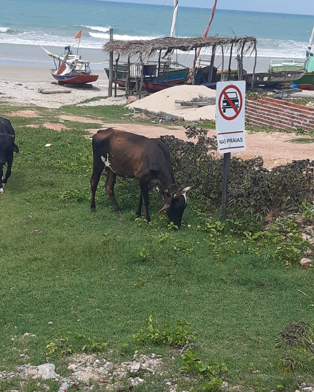 Embuaca Beach-特赖里必去景点