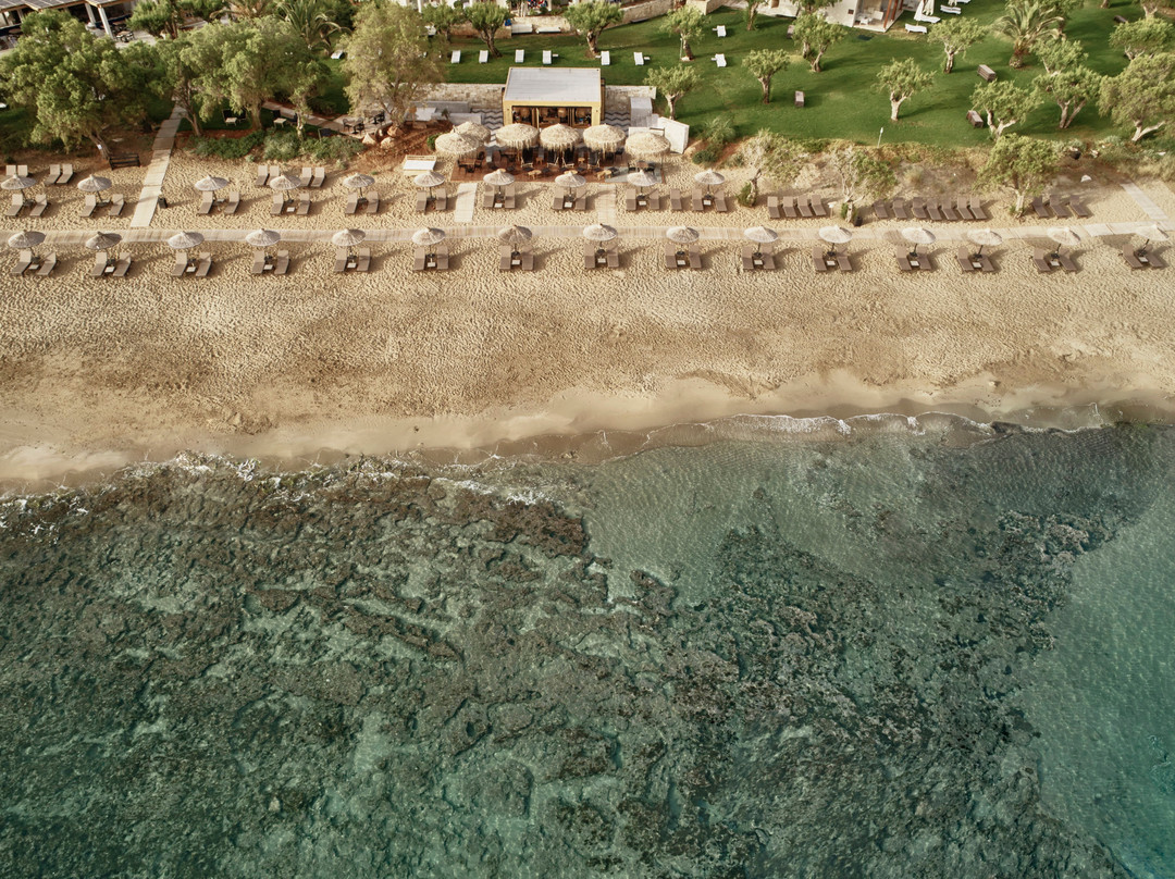 Phāea Cretan Malia主图