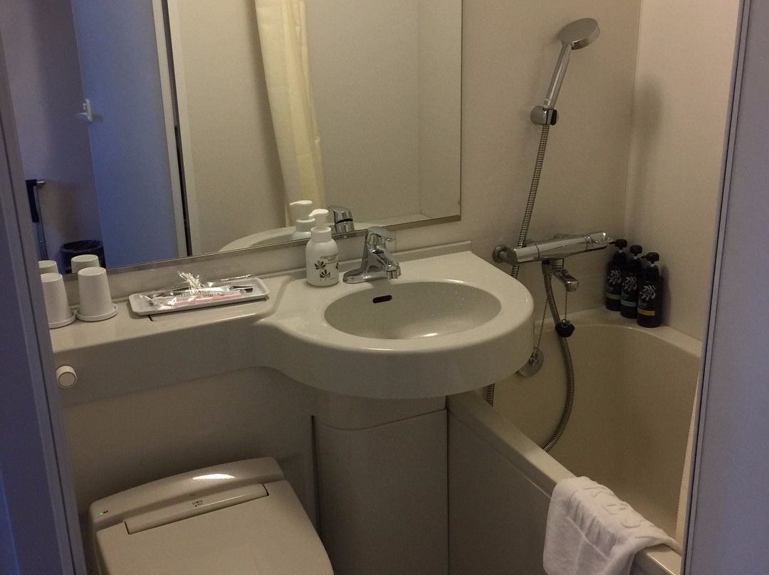 Sotetsu Fresa Inn Tokyo Kinshicho主图