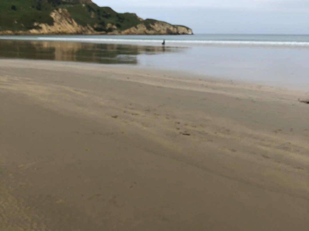 Waikouaiti Beach景点图片