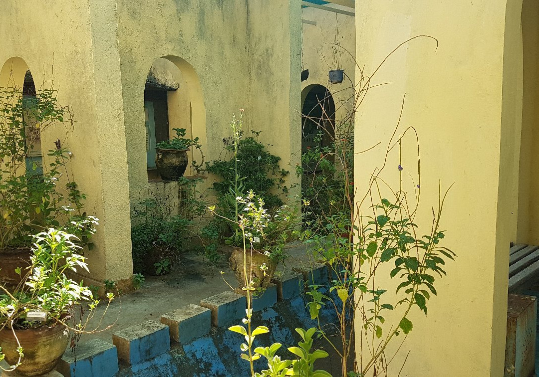 Kipepeo Butterfly House-Gede必去景点