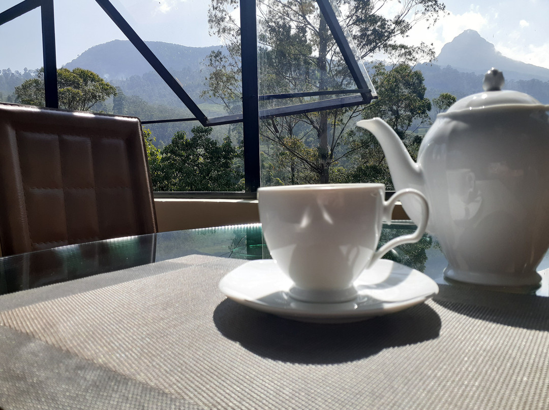 Slightly Chilled主图