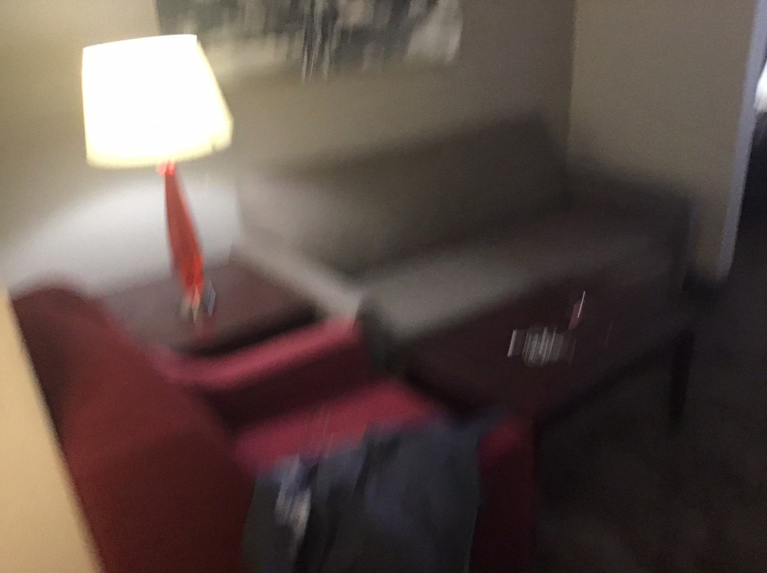 Best Western Plus University Inn & Suites主图