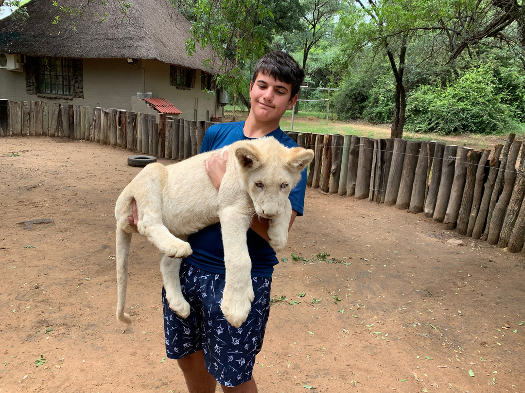 Kudu's Rus Game Lodge and Predator Park-鲁斯登堡必去景点