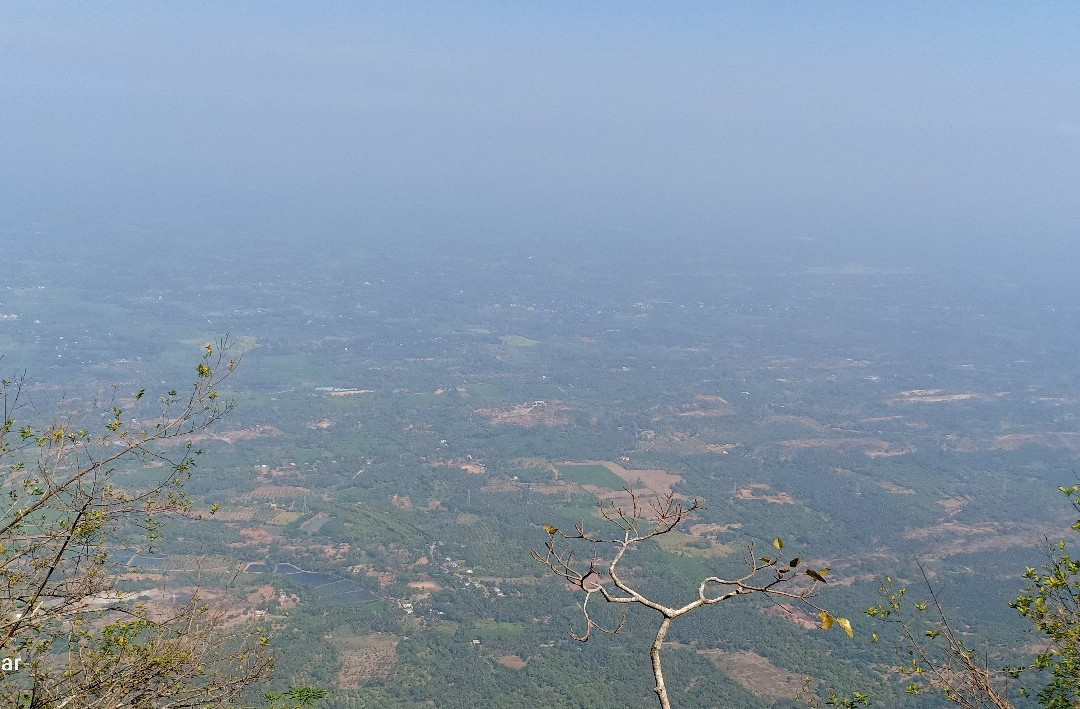 Meenampara View Point-Nelliyampathy必去景点