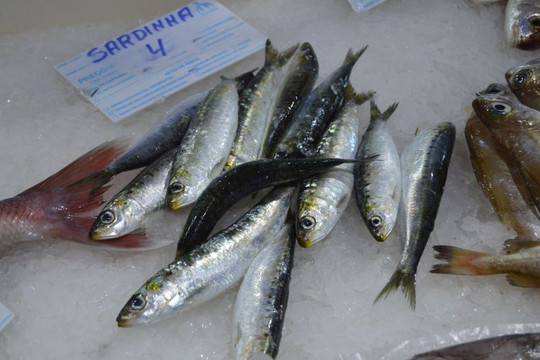 Mercado Municipal de Lagos-拉各斯必去景点