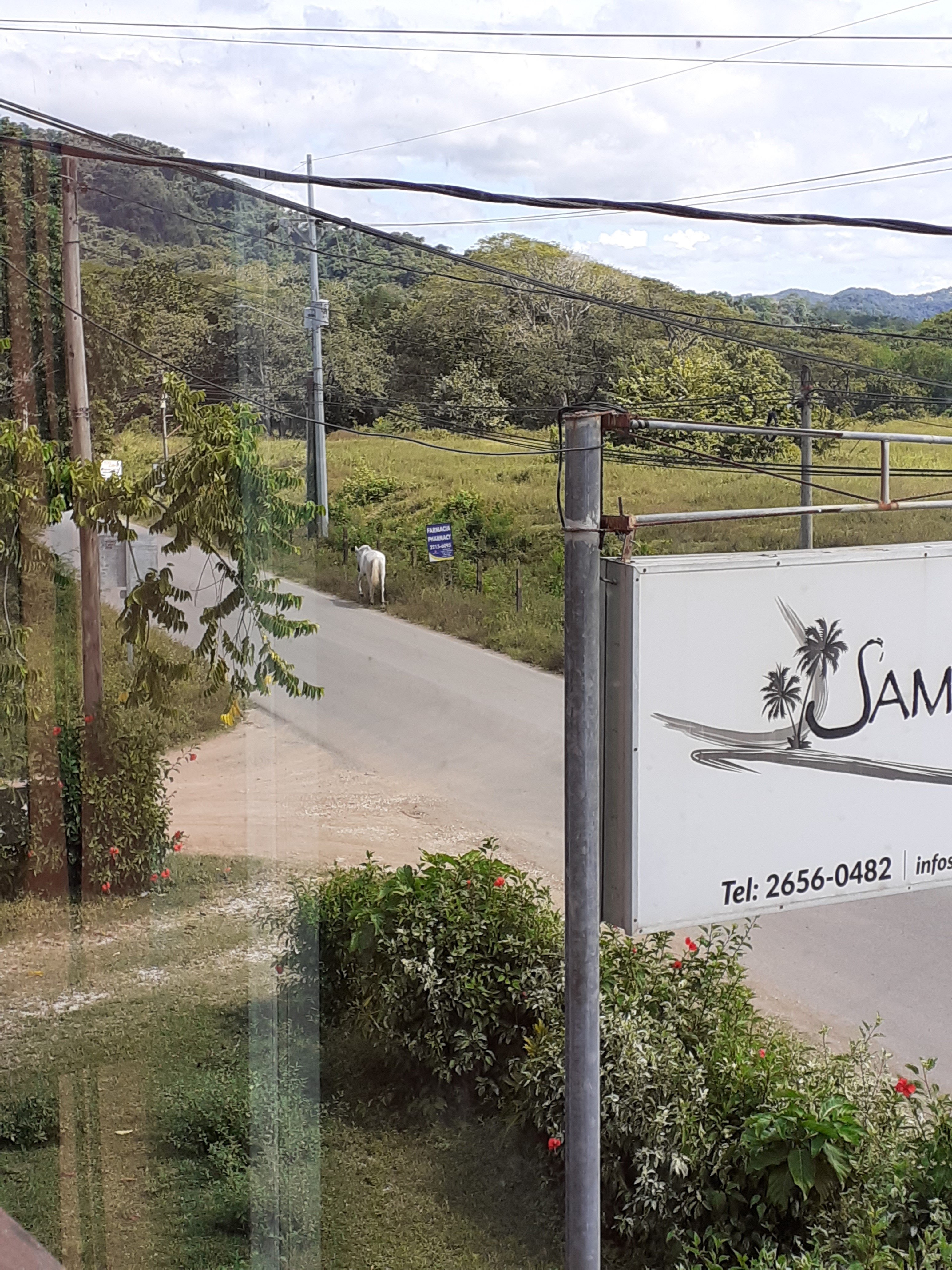 Bellavista Suites By Villas Verdes-浴室