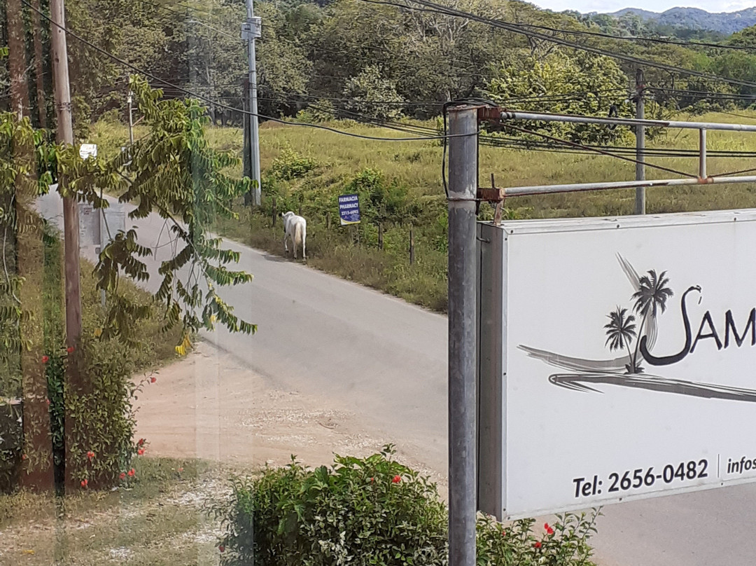 Bellavista Suites By Villas Verdes主图