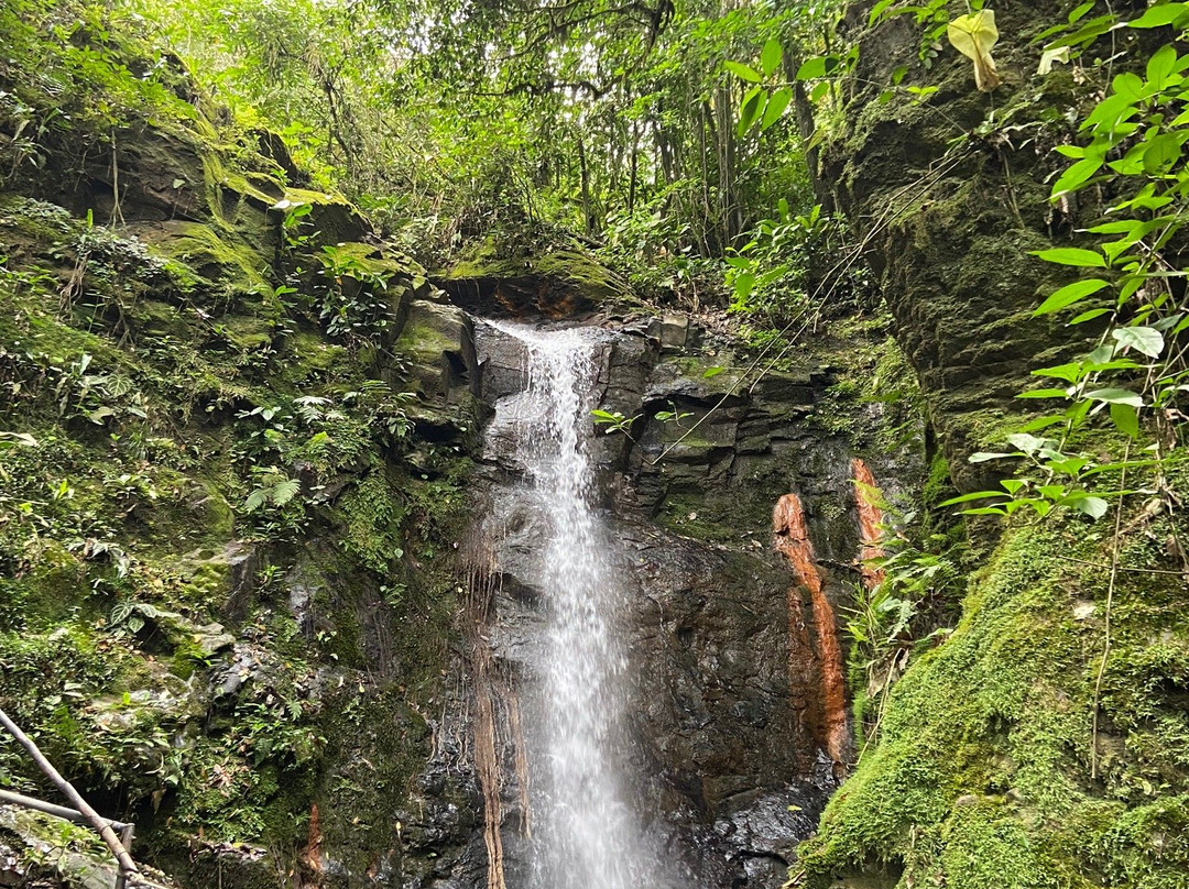 Las Cascadas de Chupal-La Vega必去景点