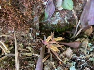 Truman Adventure-Ibague必去景点