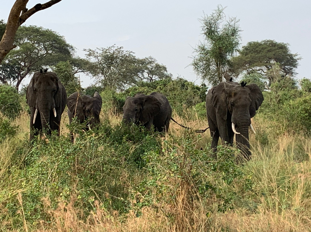 Kyobe Safaris-Masaka必去景点