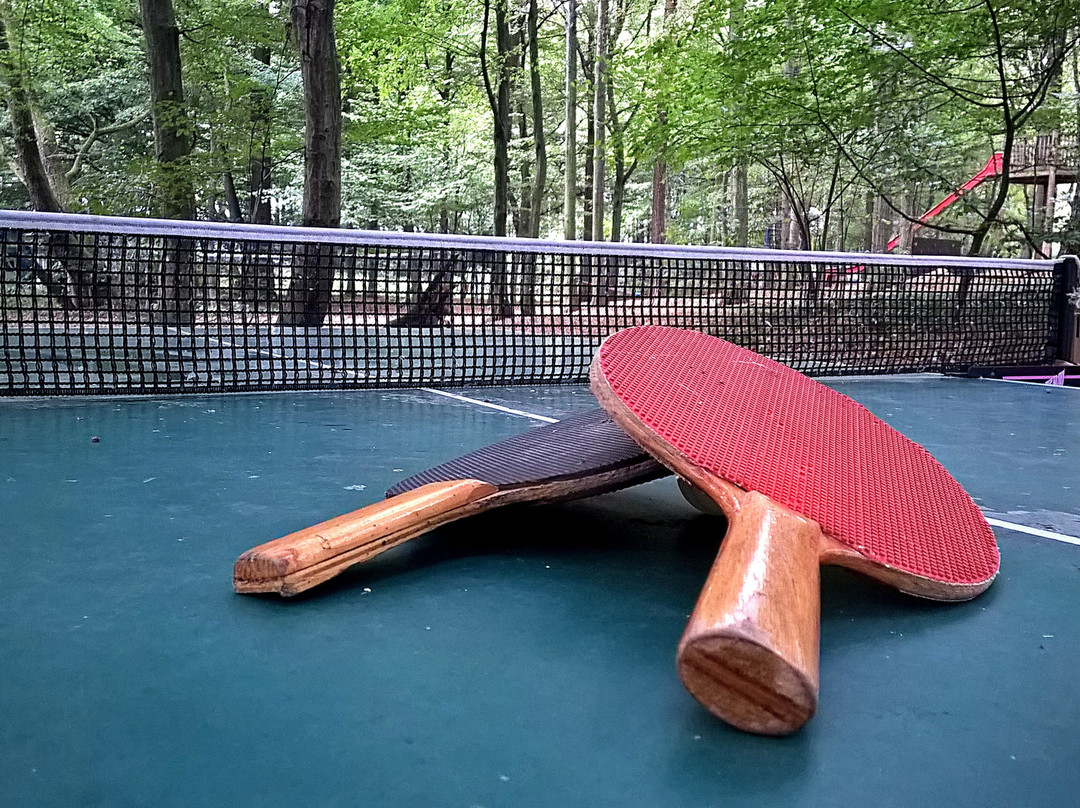 Radeburg旅游攻略图片