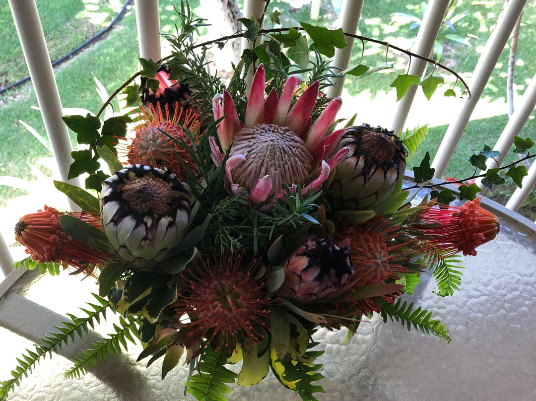 Upcountry Farmers Market-普卡兰尼必去景点