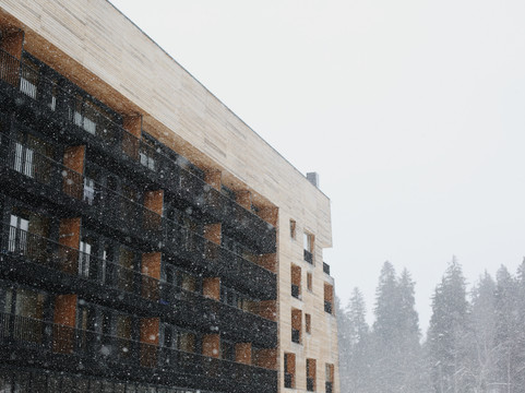 格鲁吉亚酒店住宿-Kokhta Bakuriani