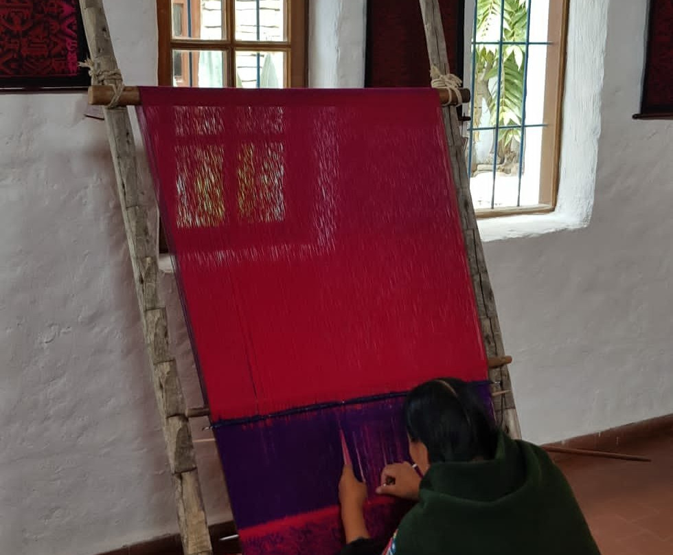 Museum of Indigenous Art ASUR-苏克雷必去景点