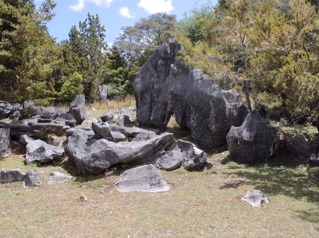 Abbey Caves景点图片