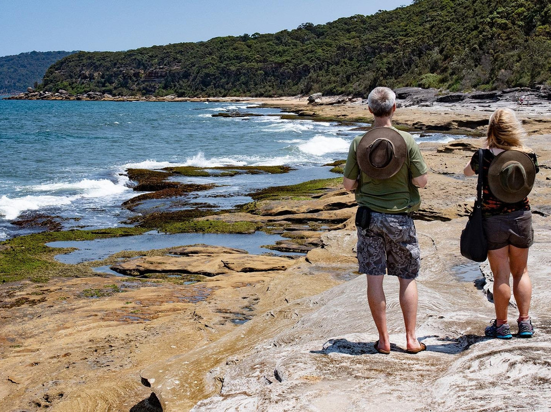 Sydney Guided Tours景点图片