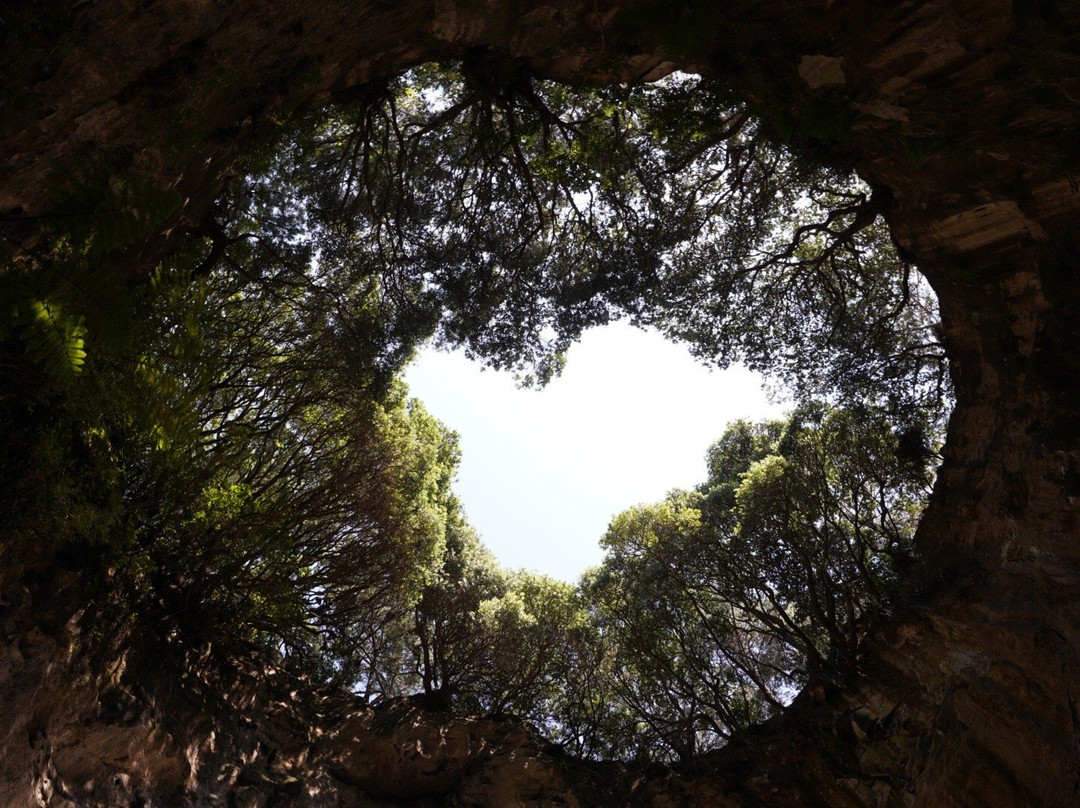 Cave Cruzer-菲蒂昂格必去景点