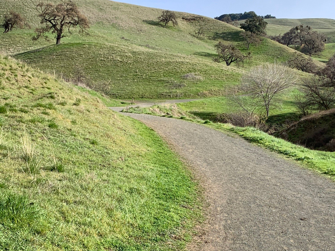 Coyote Lake Harvey Bear Ranch County Park-吉尔罗伊必去景点
