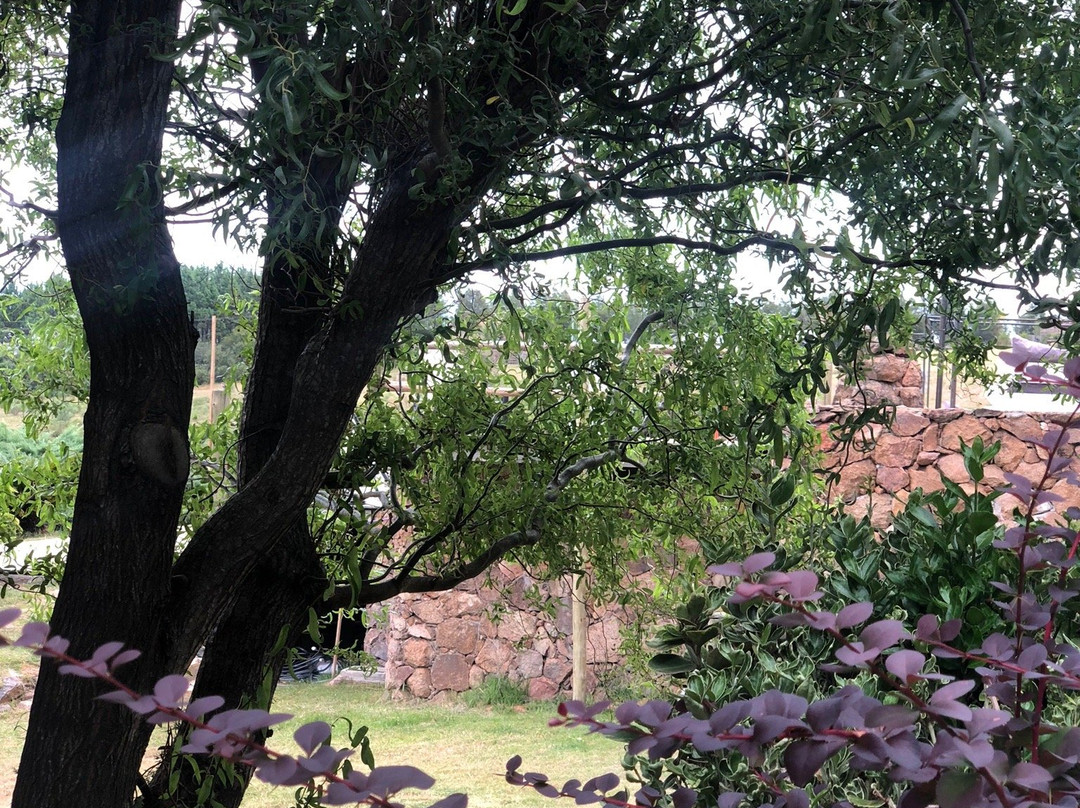 Casa Quetzal Hotel主图