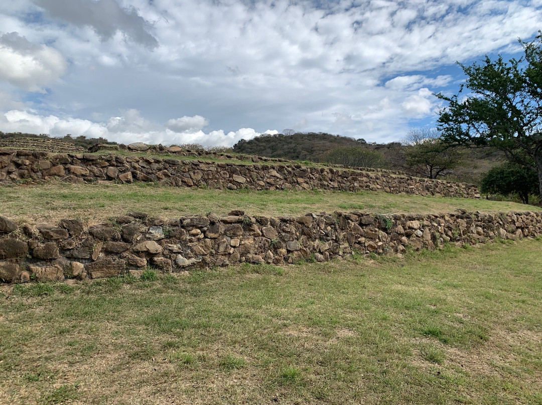 Zona Arqueológica Teuchitlán o Guachimontones景点图片