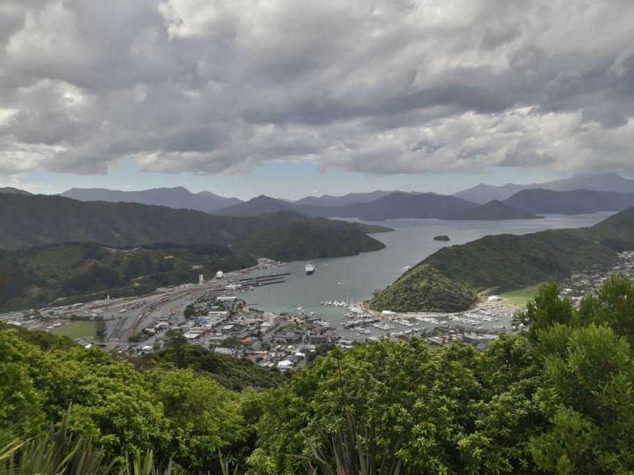 Tirohanga Track景点图片