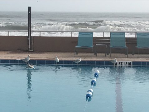 Holiday Inn & Suites 代托纳比奇上的海洋-泳池