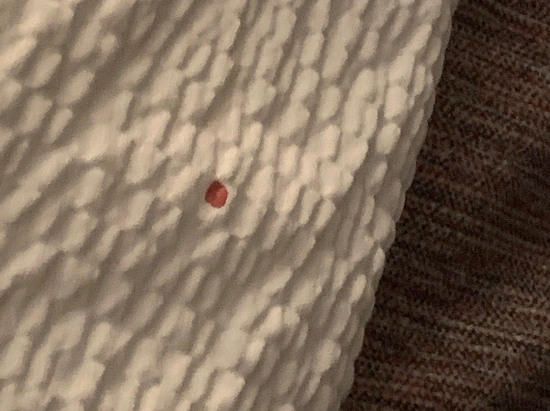 Fairfield Inn & Suites Charlotte Matthews主图