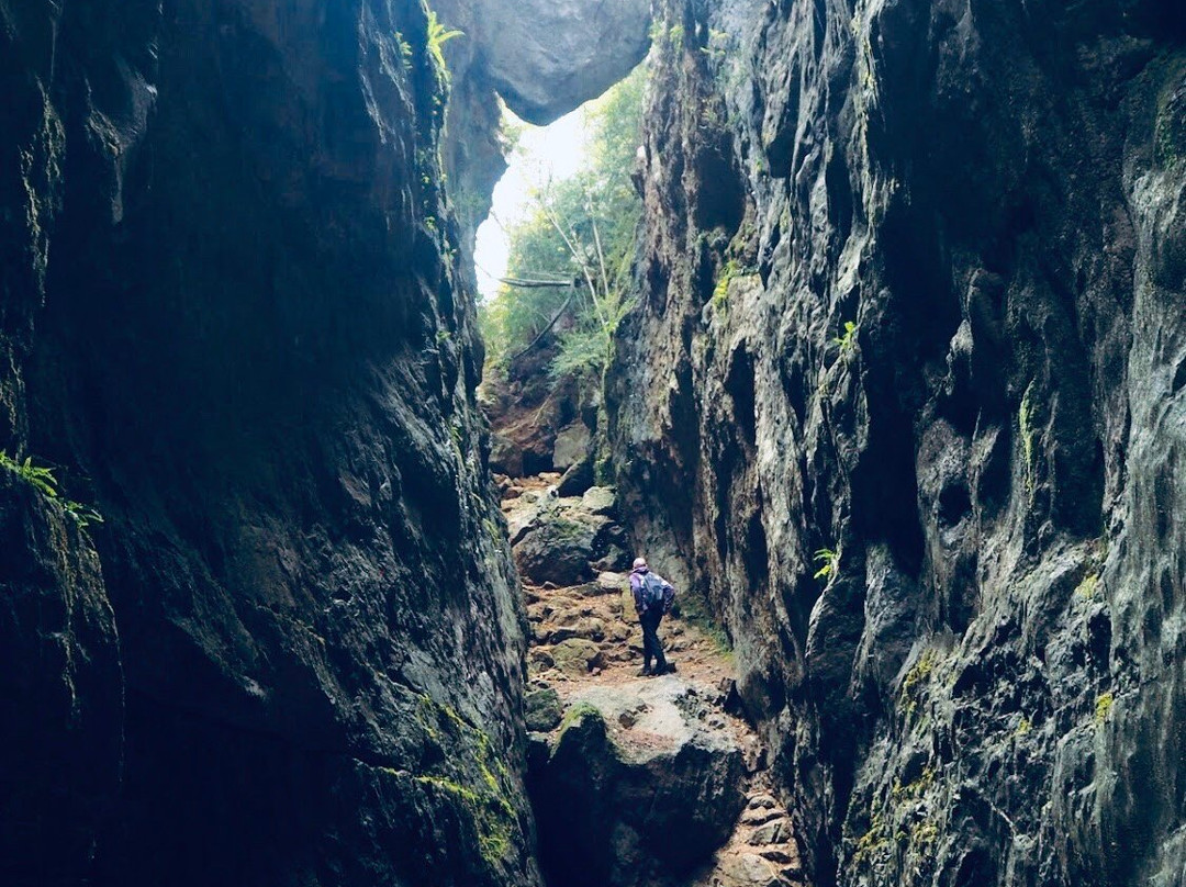 Els Avencs de la Febro