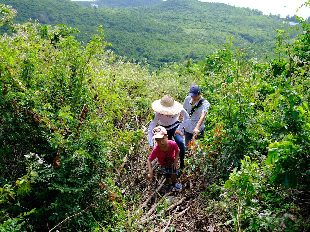 Golden Bay Hotel主图