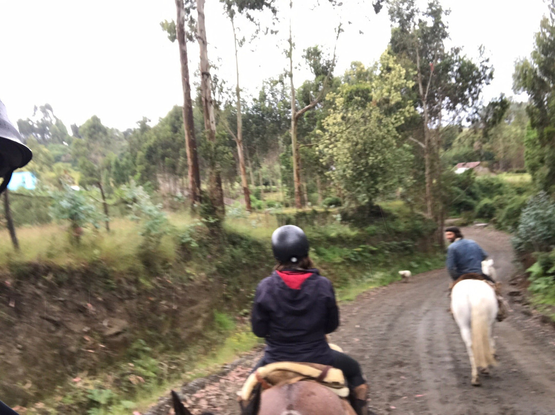 Rancho Pullao-Castro必去景点