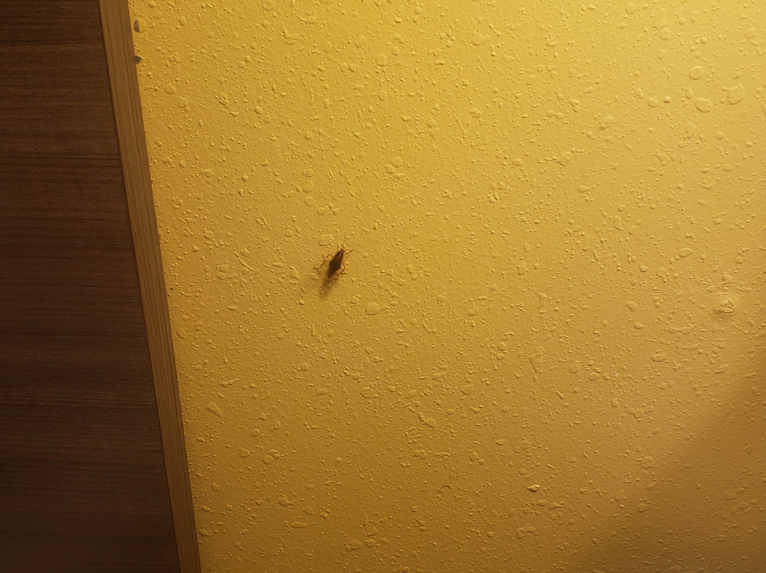 Extended Stay America – Charlotte – Rock Hill主图