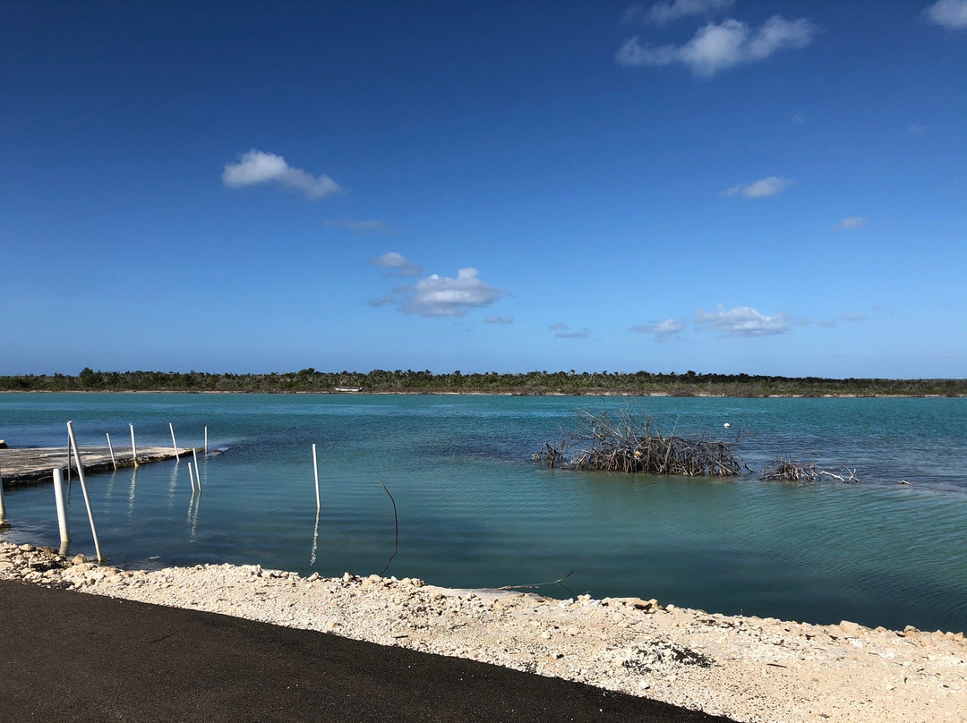 Casuarina Pine Villas主图