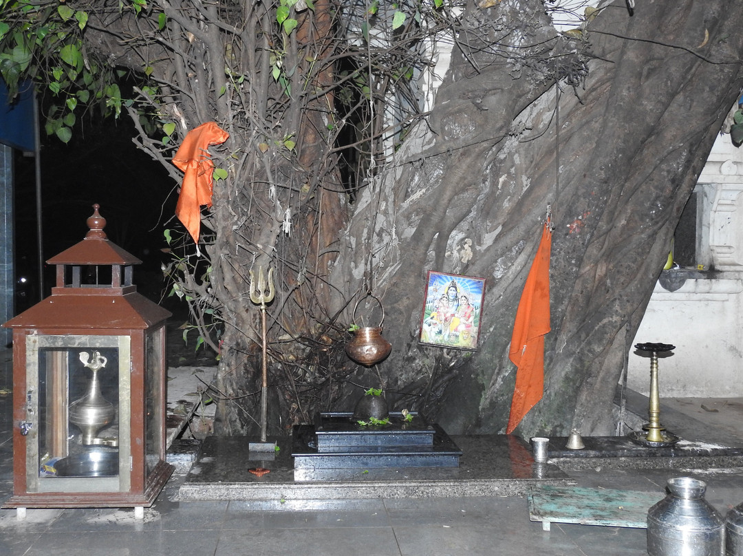 Shree Mahapurush Mandir景点图片