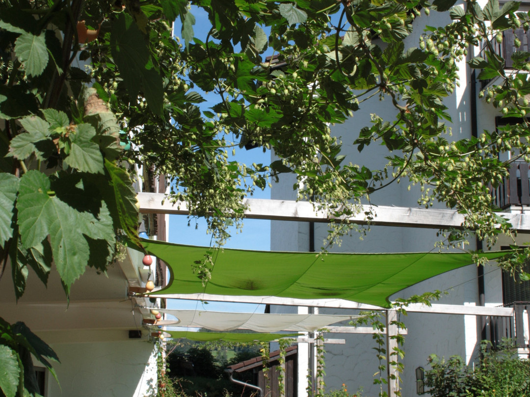 Landhotel Seeg主图