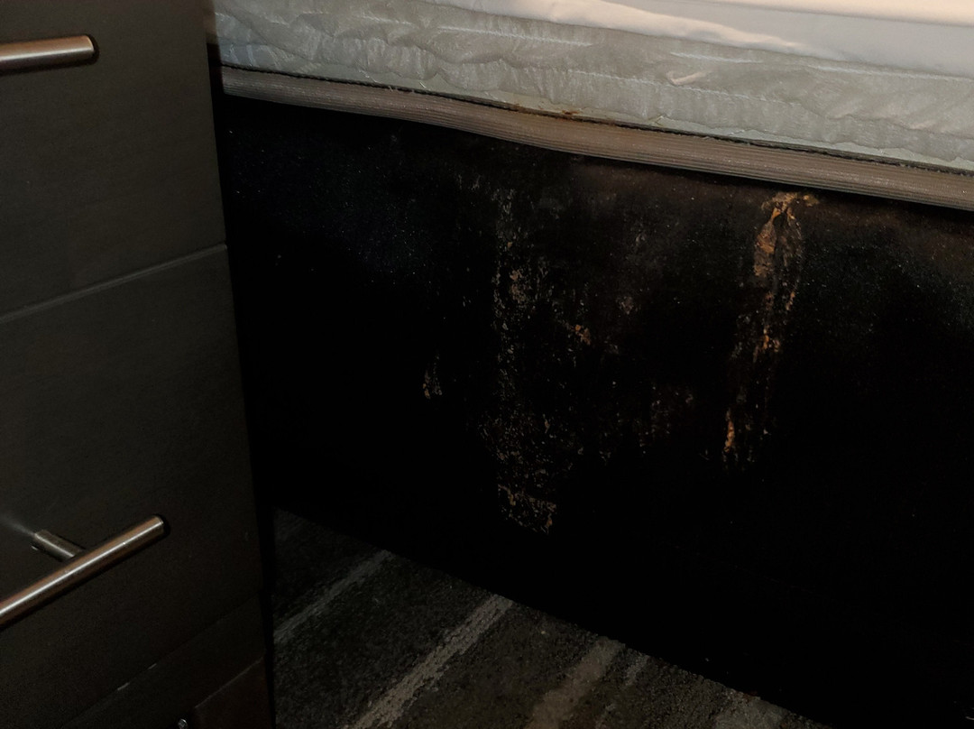 La Quinta Inn & Suites by Wyndham McDonough主图